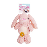 Benny the Bunny